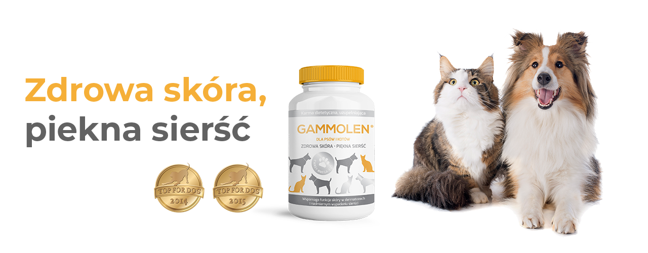 Gammolen - zdrowa sierść, piękna skóra