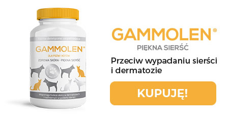 Gammolen - przeciw wypadaniu sierści i dermatozie